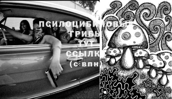 2c-b Болотное