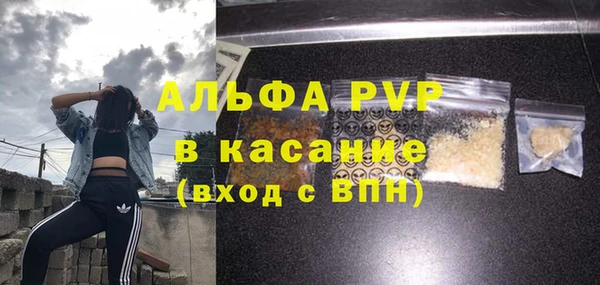 тгк Абаза