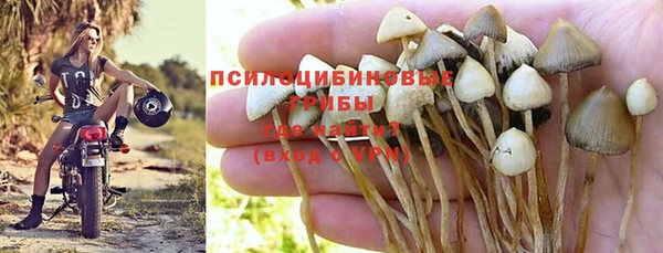 2c-b Болотное