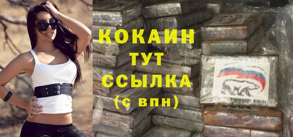 гидра Коряжма