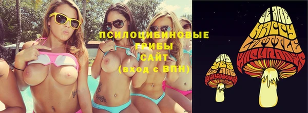 спайс Кулебаки