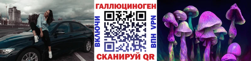Псилоцибиновые грибы Psilocybine cubensis  Красавино 